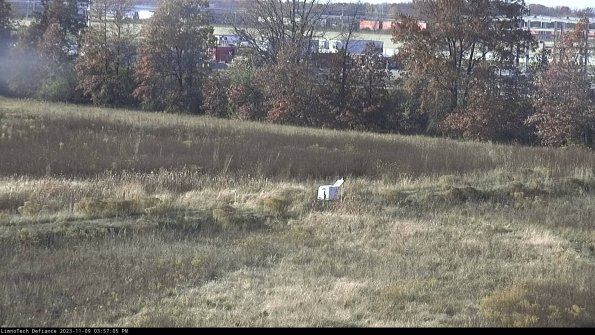 Cell 2 to 3_23-11-09_15-57-06-01