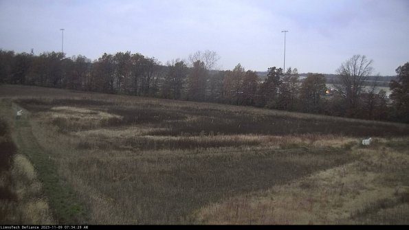 Cell 2_23-11-09_07-34-29-78