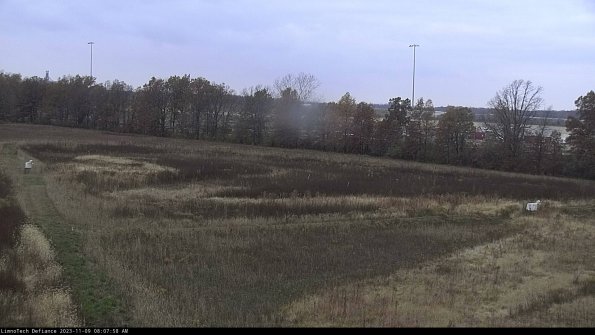 Cell 2_23-11-09_08-07-58-87