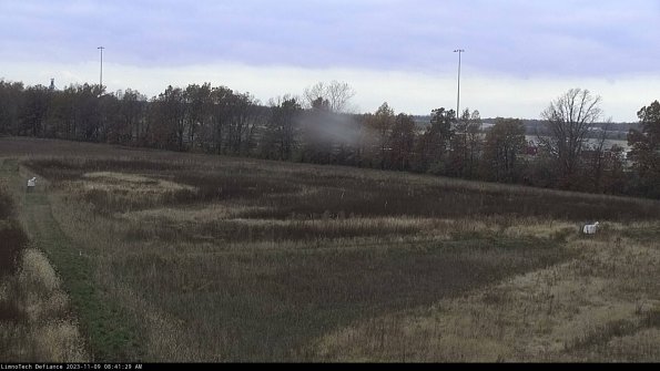 Cell 2_23-11-09_08-41-29-88