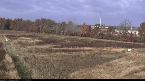 Cell 2_23-11-09_09-14-59-87