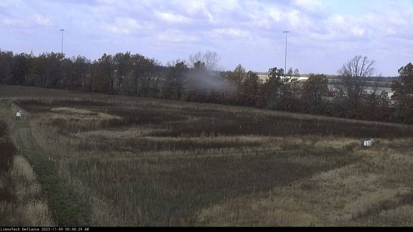 Cell 2_23-11-09_09-48-29-85