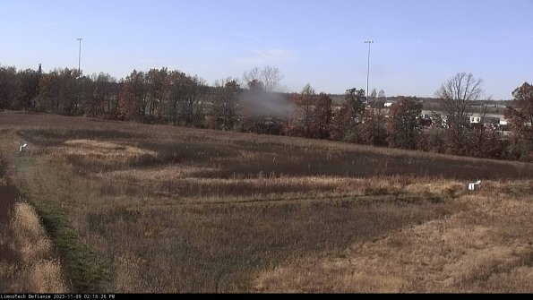 Cell 2_23-11-09_14-16-26-81