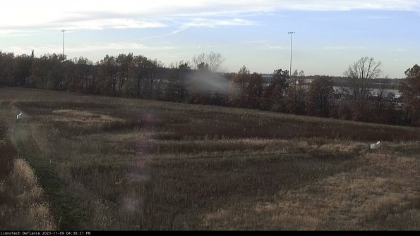 Cell 2_23-11-09_16-30-21-78