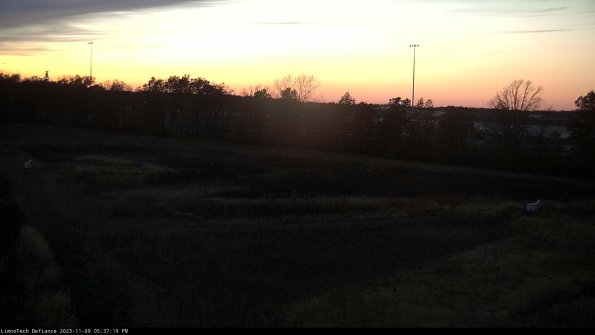 Cell 2_23-11-09_17-37-19-88