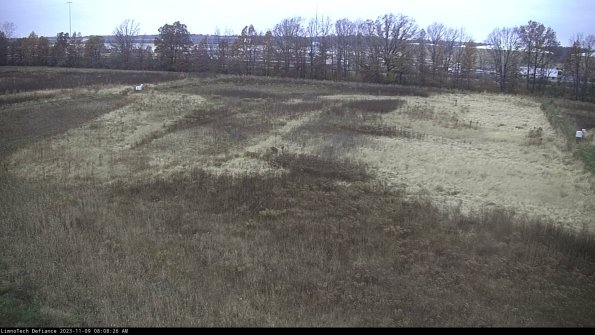 Cell 3_23-11-09_08-08-26-79