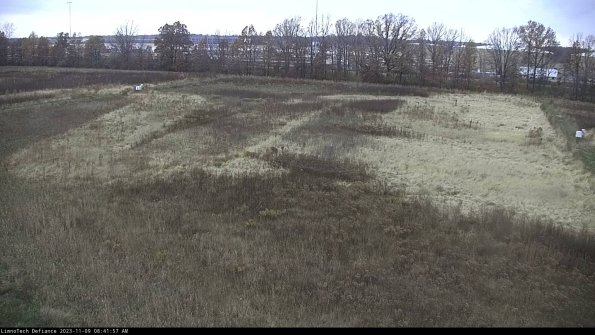 Cell 3_23-11-09_08-41-57-88