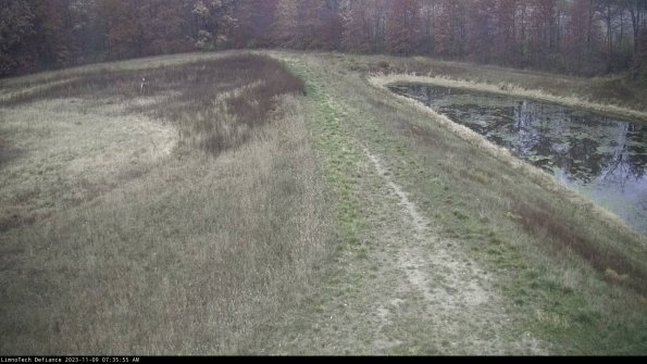 Cell 4 to Basin_23-11-09_07-35-55-80