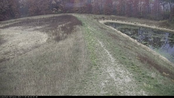 Cell 4 to Basin_23-11-09_08-42-55-90