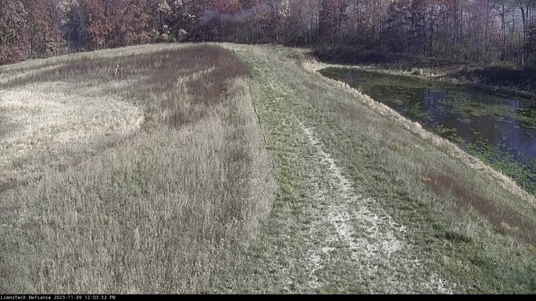 Cell 4 to Basin_23-11-09_12-03-52-81