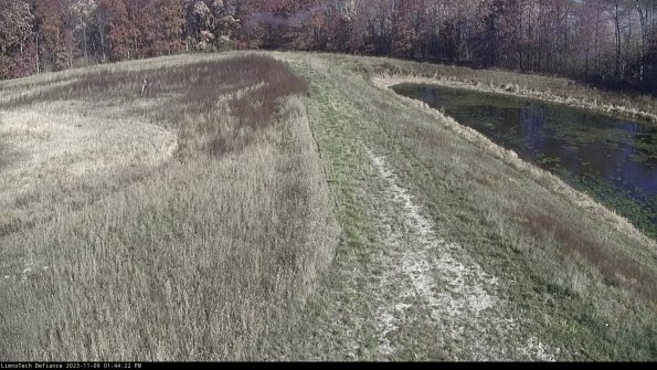 Cell 4 to Basin_23-11-09_13-44-22-81