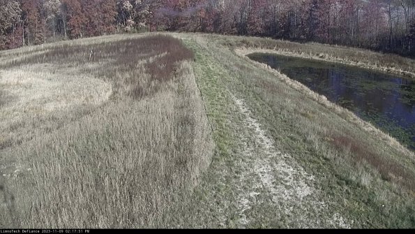 Cell 4 to Basin_23-11-09_14-17-51-79