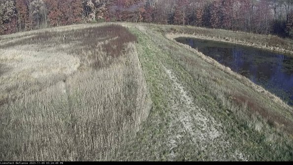 Cell 4 to Basin_23-11-09_15-24-49-79