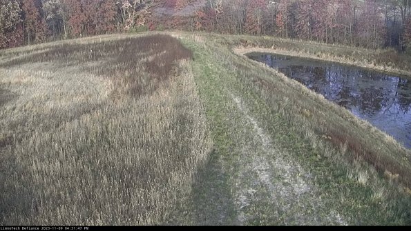 Cell 4 to Basin_23-11-09_16-31-47-80