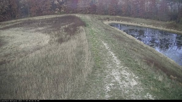 Cell 4 to Basin_23-11-09_17-05-16-78