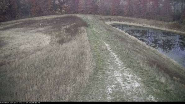 Cell 4 to Basin_23-11-09_17-38-45-80