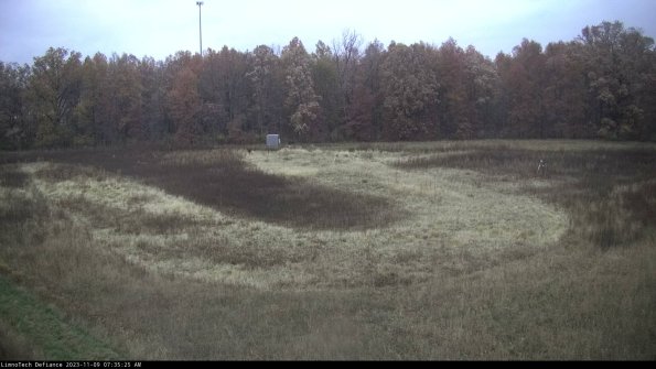 Cell 4_23-11-09_07-35-25-77