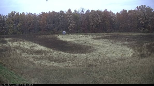 Cell 4_23-11-09_08-08-54-79