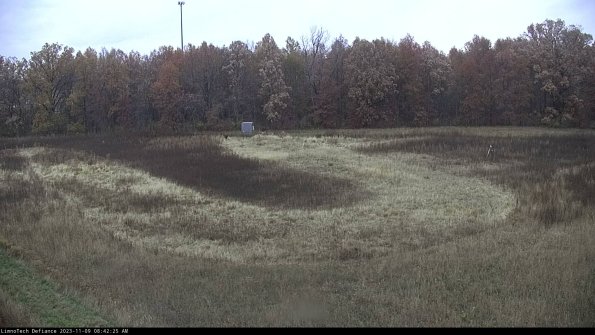 Cell 4_23-11-09_08-42-25-84