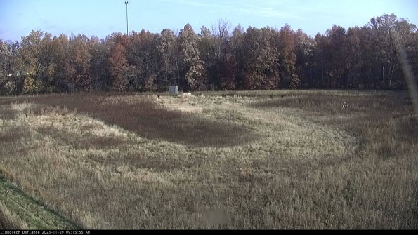 Cell 4_23-11-09_09-15-55-79