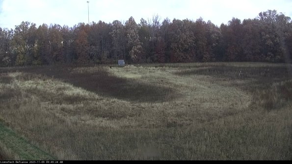 Cell 4_23-11-09_09-49-24-77