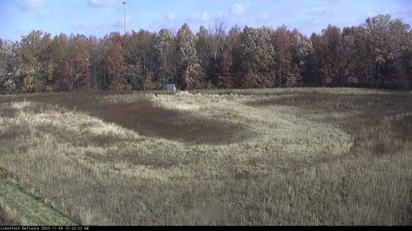 Cell 4_23-11-09_10-22-53-79