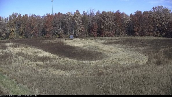 Cell 4_23-11-09_12-03-22-78