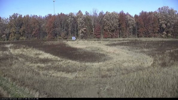 Cell 4_23-11-09_14-17-21-79