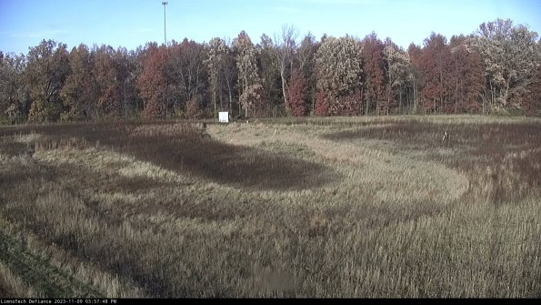 Cell 4_23-11-09_15-57-48-78