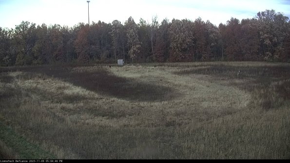 Cell 4_23-11-09_17-04-46-79