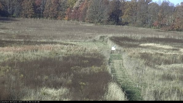 Cell 1 to 2_23-11-10_09-15-03-77