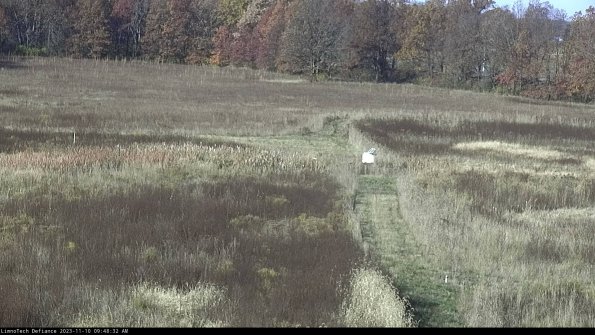 Cell 1 to 2_23-11-10_09-48-32-79