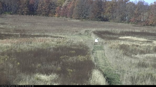 Cell 1 to 2_23-11-10_10-22-02-77