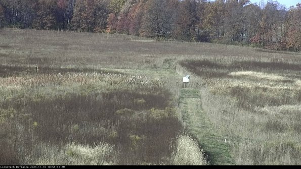 Cell 1 to 2_23-11-10_10-55-31-76