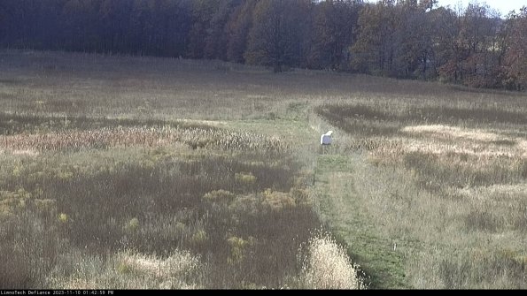 Cell 1 to 2_23-11-10_13-42-59-78