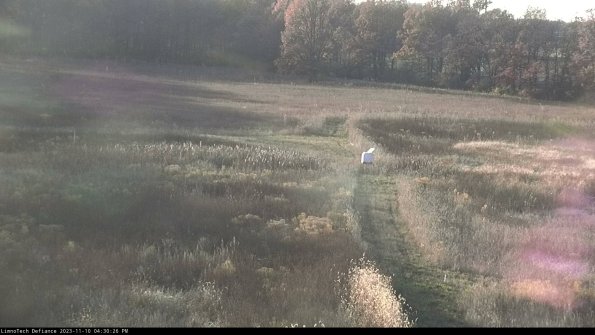 Cell 1 to 2_23-11-10_16-30-26-78