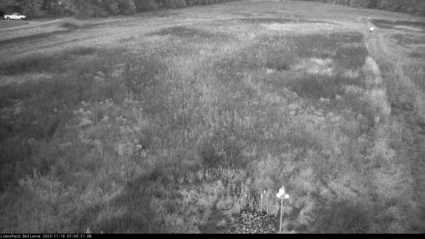 Cell 1_23-11-10_07-00-51-76