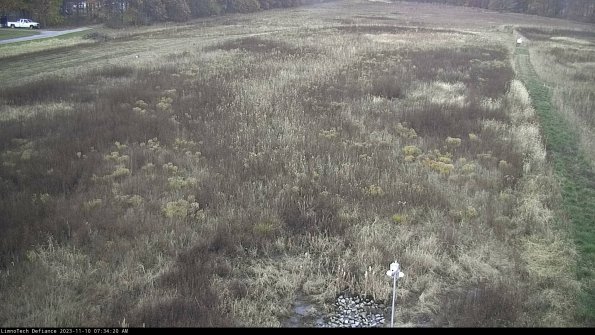 Cell 1_23-11-10_07-34-20-77