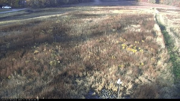 Cell 1_23-11-10_08-07-50-79