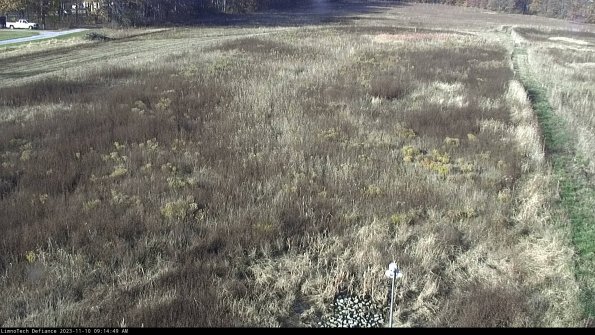 Cell 1_23-11-10_09-14-49-79