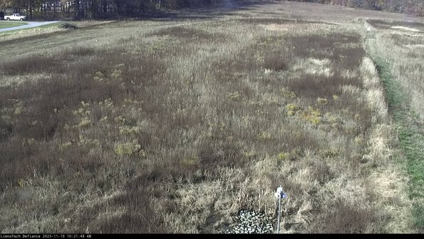 Cell 1_23-11-10_10-21-48-79