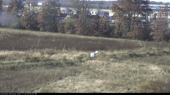 Cell 2 to 3_23-11-10_15-23-53-87