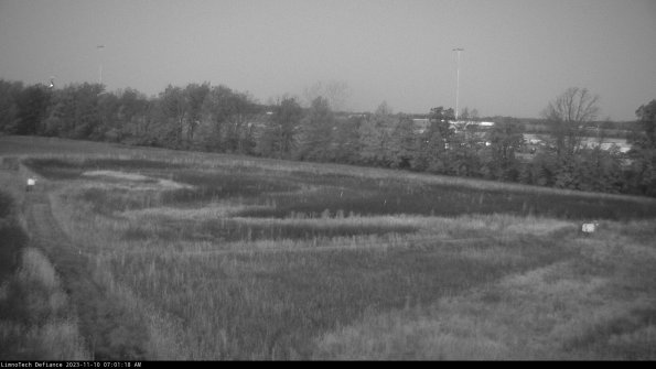 Cell 2_23-11-10_07-01-18-89