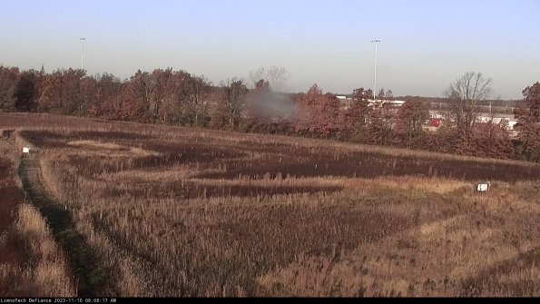 Cell 2_23-11-10_08-08-17-82