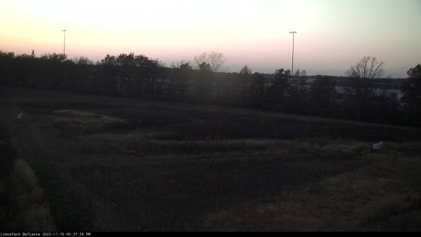 Cell 2_23-11-10_17-37-36-83