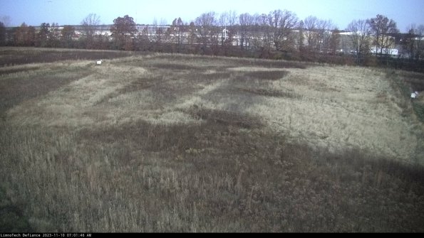 Cell 3_23-11-10_07-01-46-78