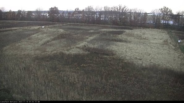 Cell 3_23-11-10_07-35-15-76