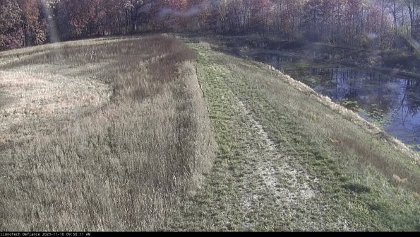 Cell 4 to Basin_23-11-10_09-50-11-79