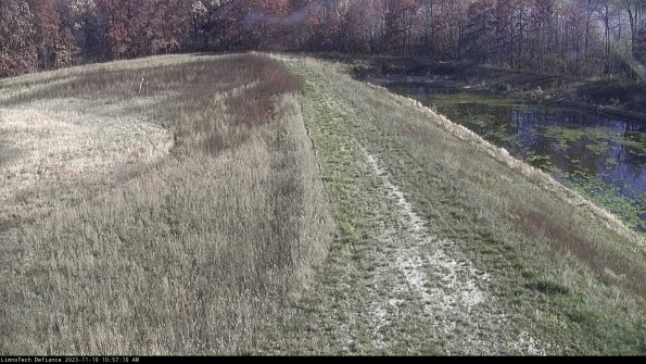 Cell 4 to Basin_23-11-10_10-57-10-79