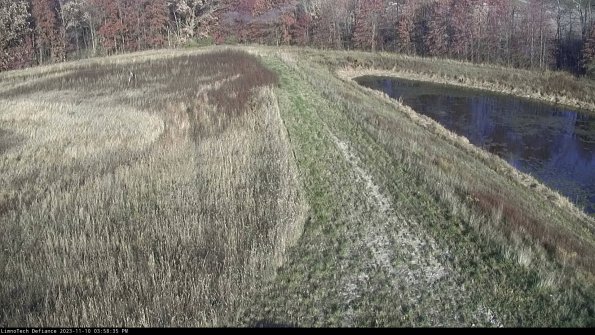 Cell 4 to Basin_23-11-10_15-58-35-79